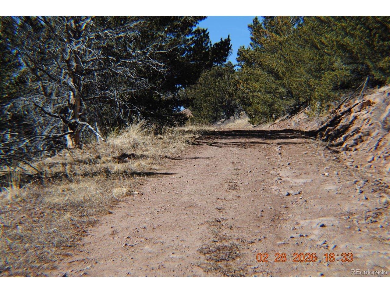 Image 4: NEWMAN UP HILL