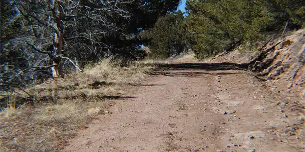 Image 4: NEWMAN UP HILL Image 4: NEWMAN UP HILL