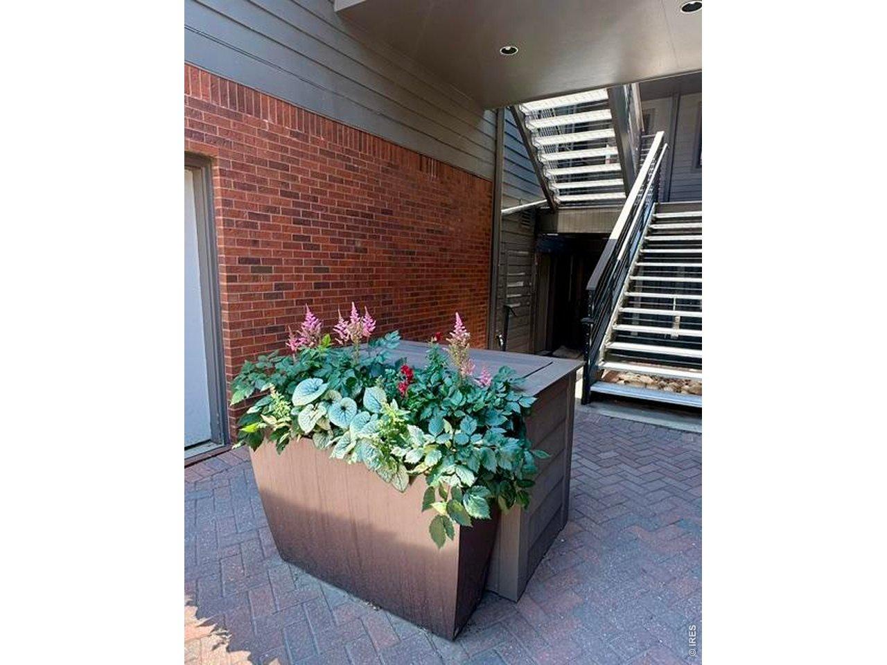 Image 3: HOA maintained beautiful flowers