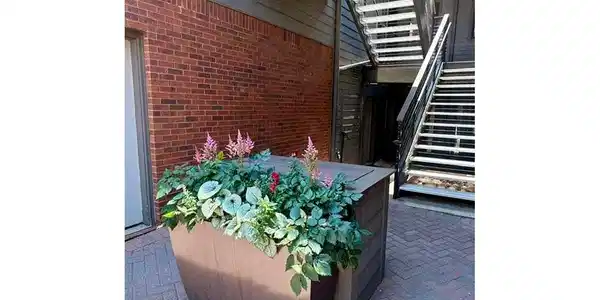 Image 3: HOA maintained beautiful flowers Image 3: HOA maintained beautiful flowers