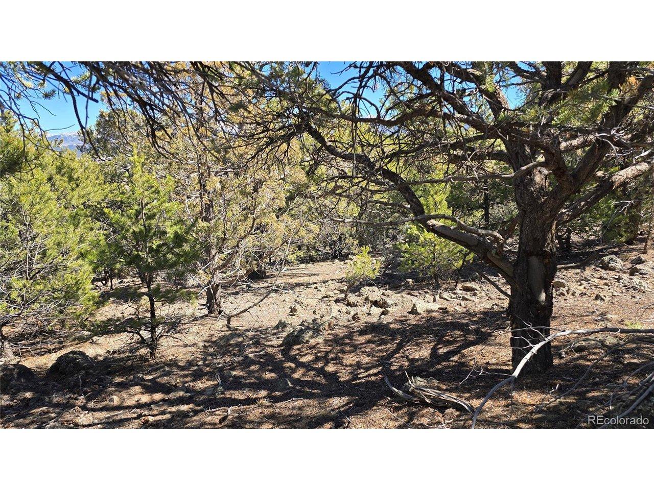 Image 3 Image 3