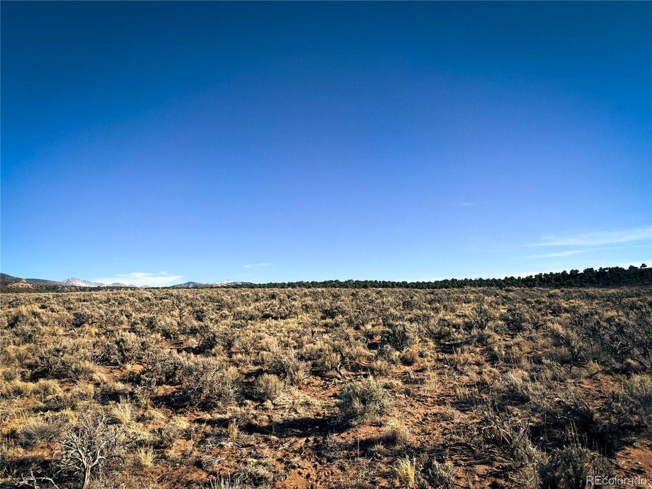 Image 4 Image 4
