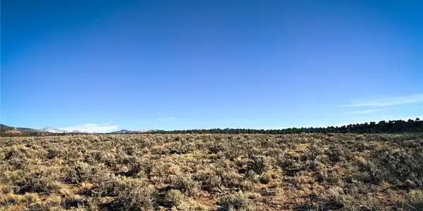 Image 4 Image 4