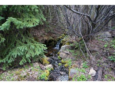 0 Trail Creek Rd