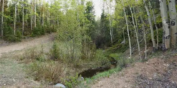 Image 2 Image 2