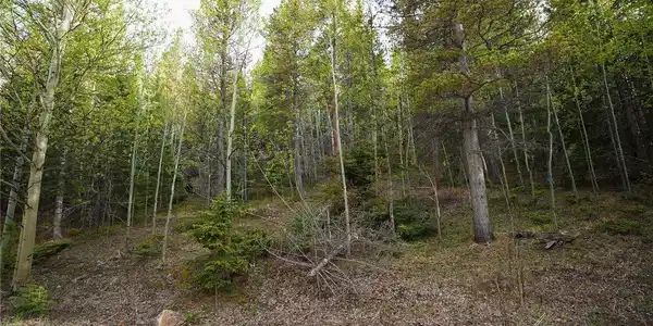 Image 4 Image 4