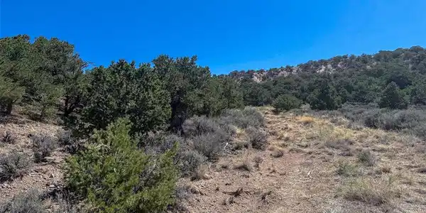 Image 4 Image 4