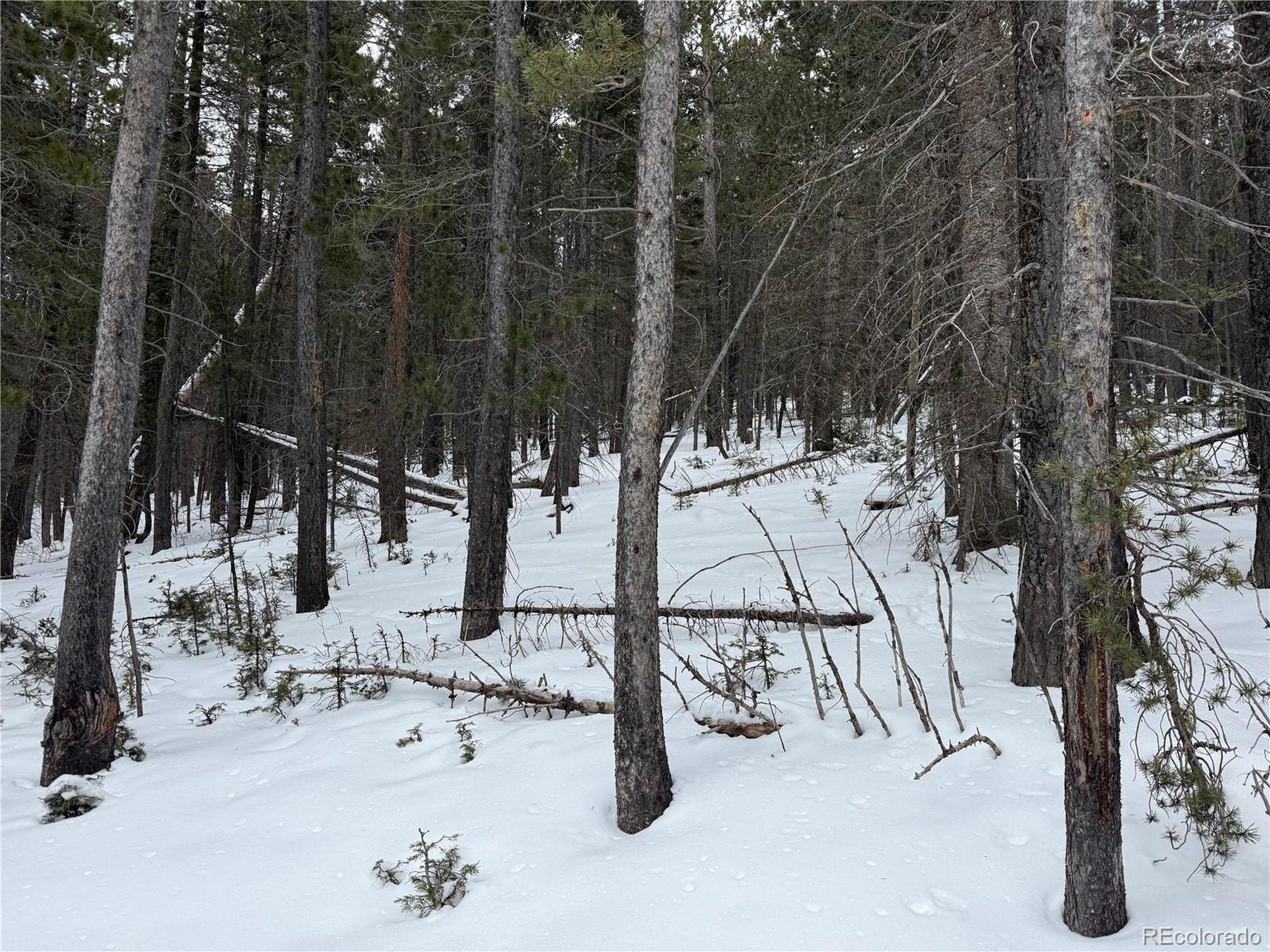 Image 1 Image 1