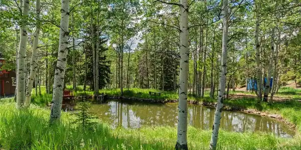 Image 4: Beyond the home lies a private slice of nature - a serene pond nestled among slender aspens, offering the kind of peaceful escape most only dream of finding right in their own backyard. Image 4: Beyond the home lies a private slice of nature - a serene pond nestled among slender aspens, offering the kind of peaceful escape most only dream of finding right in their own backyard.