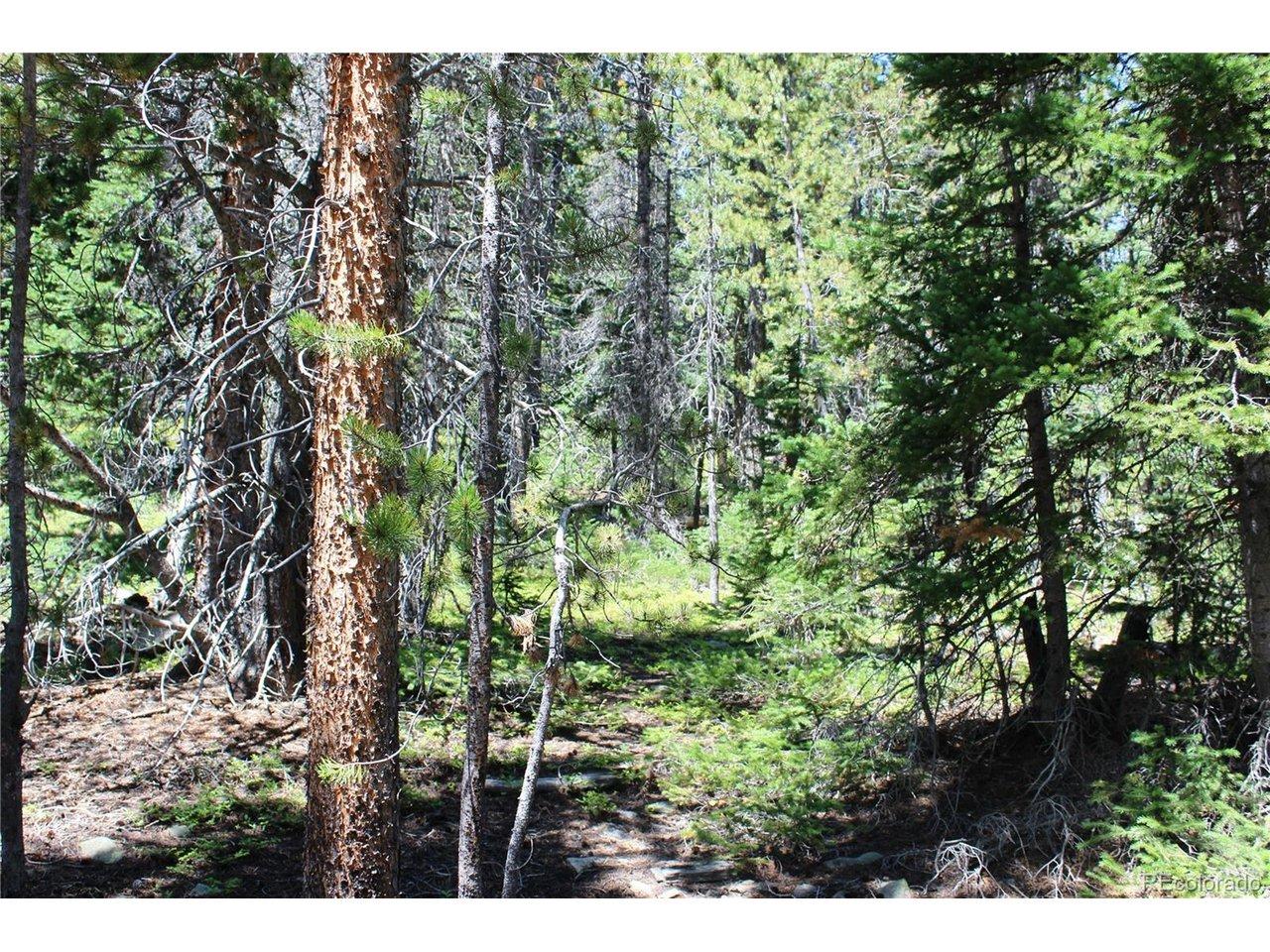 Image 3 Image 3
