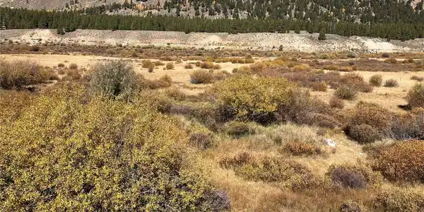 Leadville Land