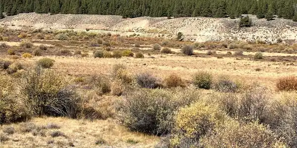 Image 3 Image 3