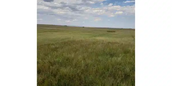 Image 3 Image 3