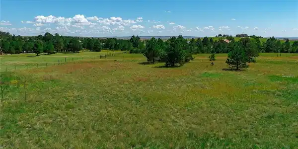 Image 4 Image 4