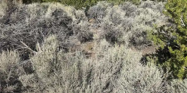 Image 4 Image 4