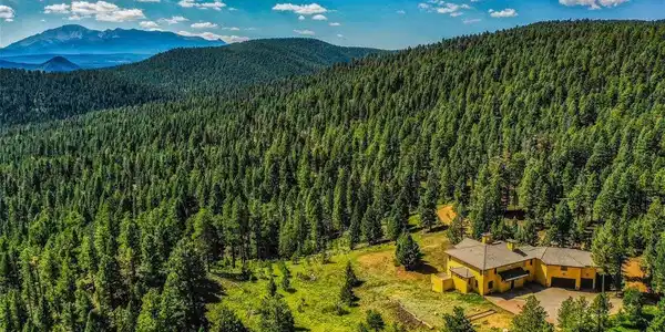 Image 4: Aerial view of the surrounding forested space and over the treetops to see the proximity of Pikes Peak. Image 4: Aerial view of the surrounding forested space and over the treetops to see the proximity of Pikes Peak.
