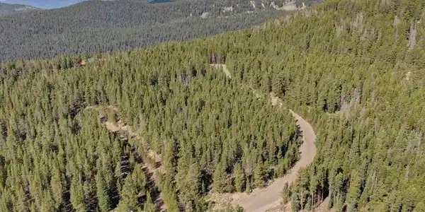 Image 4: Where Upper Forest Rd & Eva Rd intersect
