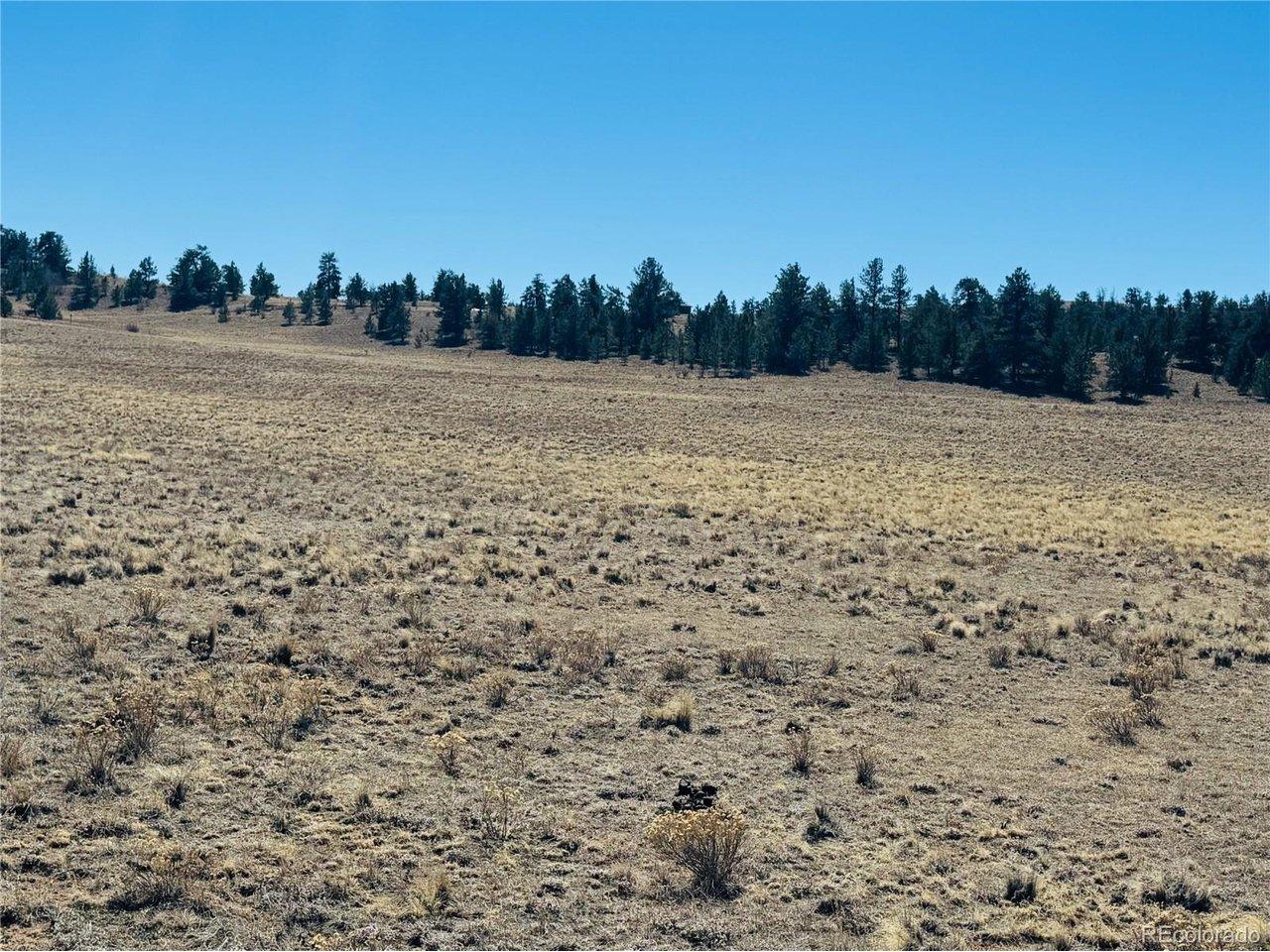 Image 4 Image 4
