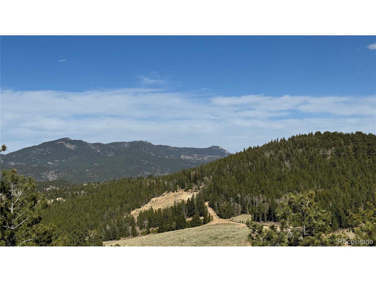 Image 3 Image 3