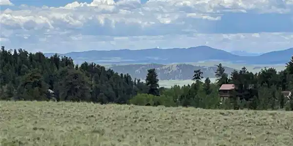 Image 4 Image 4