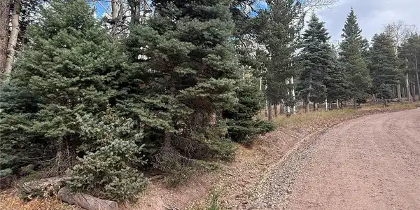 Image 3 Image 3