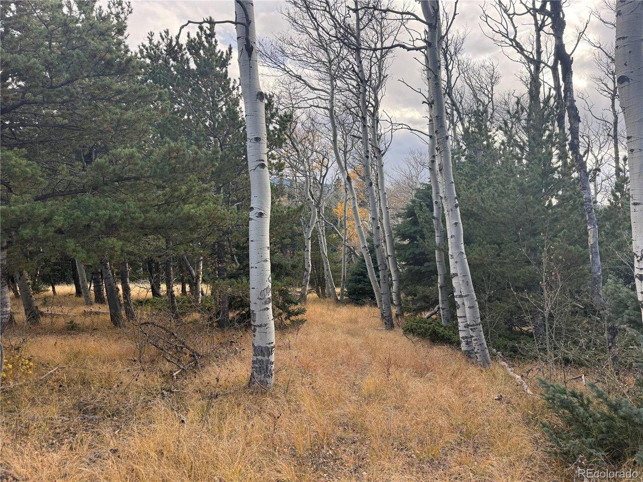 Image 4 Image 4