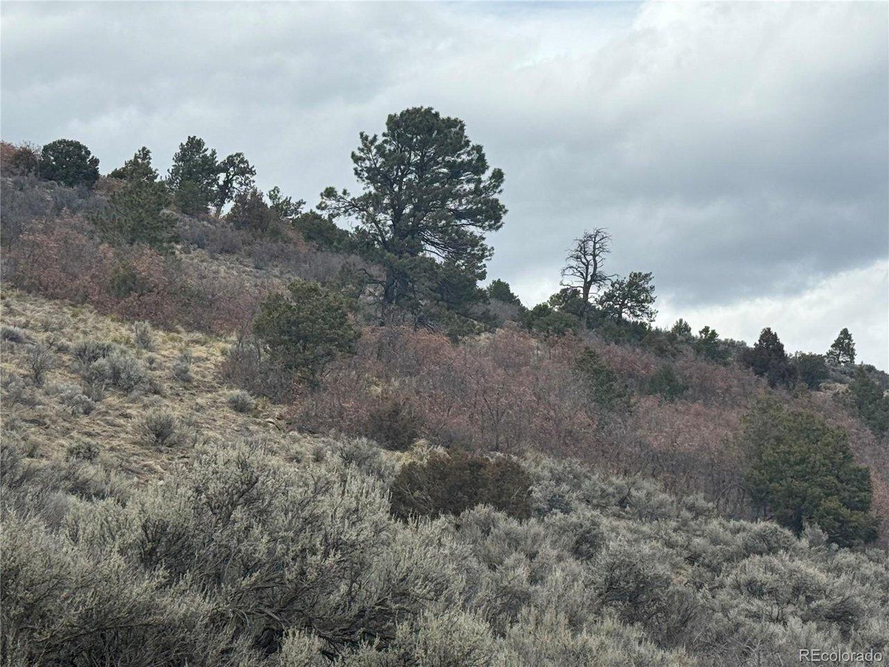 Image 3 Image 3