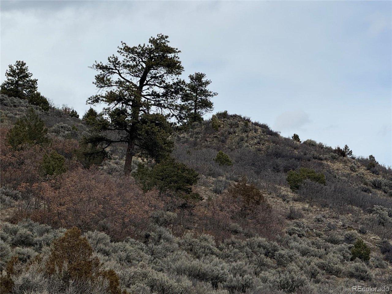 Image 4 Image 4