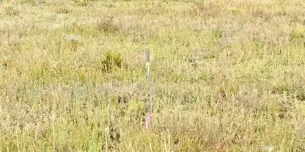 Image 3 Image 3