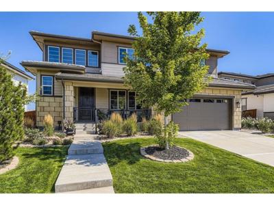 14101 Yellow Tip Dr