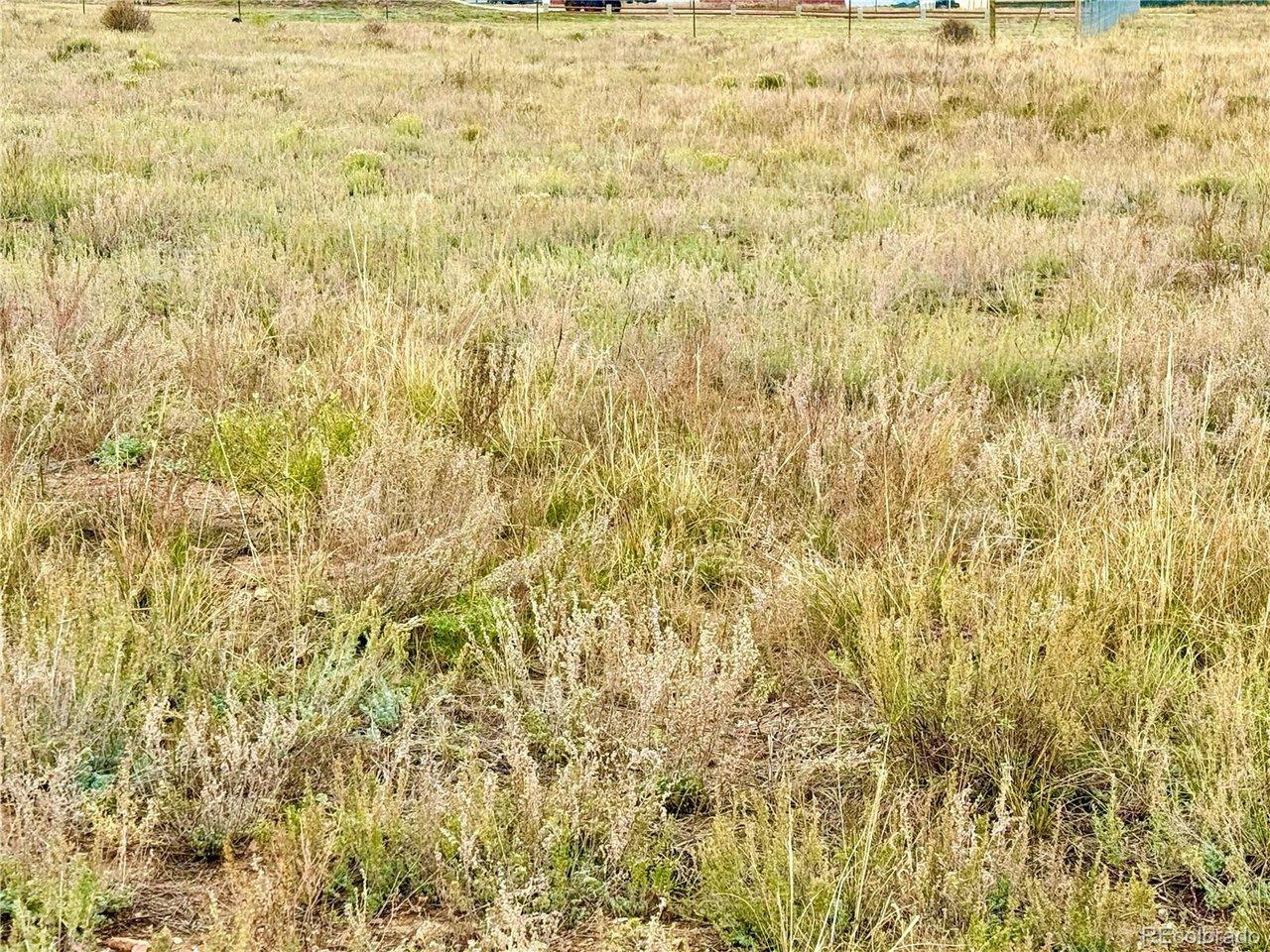 Image 4 Image 4