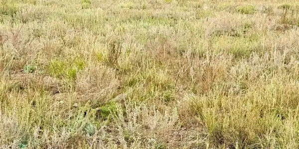 Image 4 Image 4