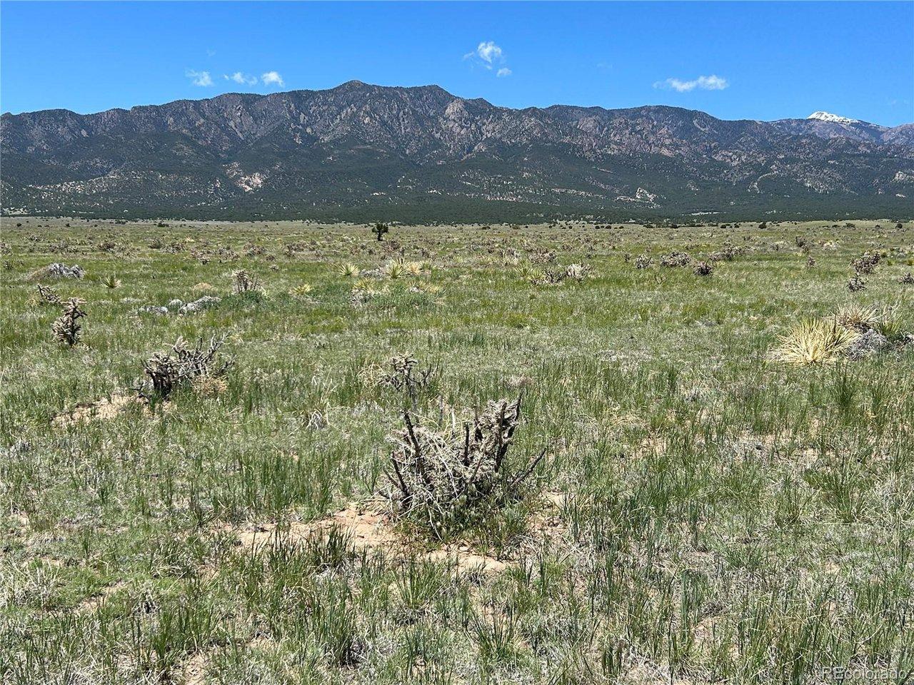 Image 4 Image 4