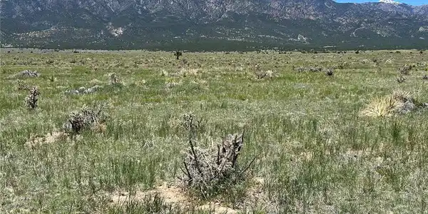 Image 4 Image 4