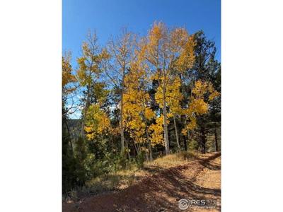 85 Remwood Cir