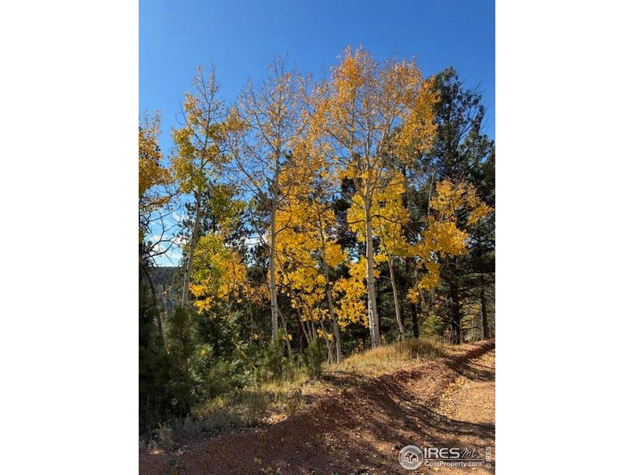 Image 1: Aspens & Pines Image 1: Aspens & Pines