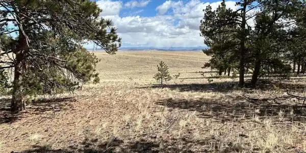 Image 3: Trees and Views