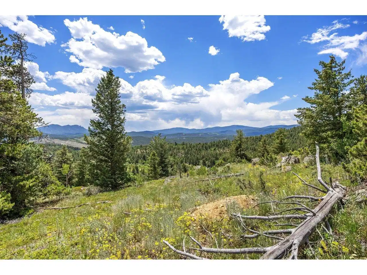Image 1: 1568 County Road 103 - 8.26 acres with stunning views of the Divide Image 1: 1568 County Road 103 - 8.26 acres with stunning views of the Divide
