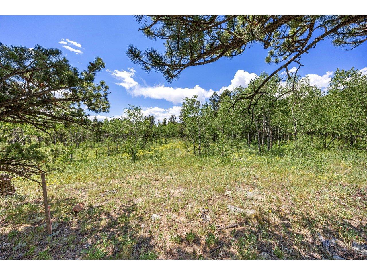 Image 2: Clearing for home already in place Image 2: Clearing for home already in place