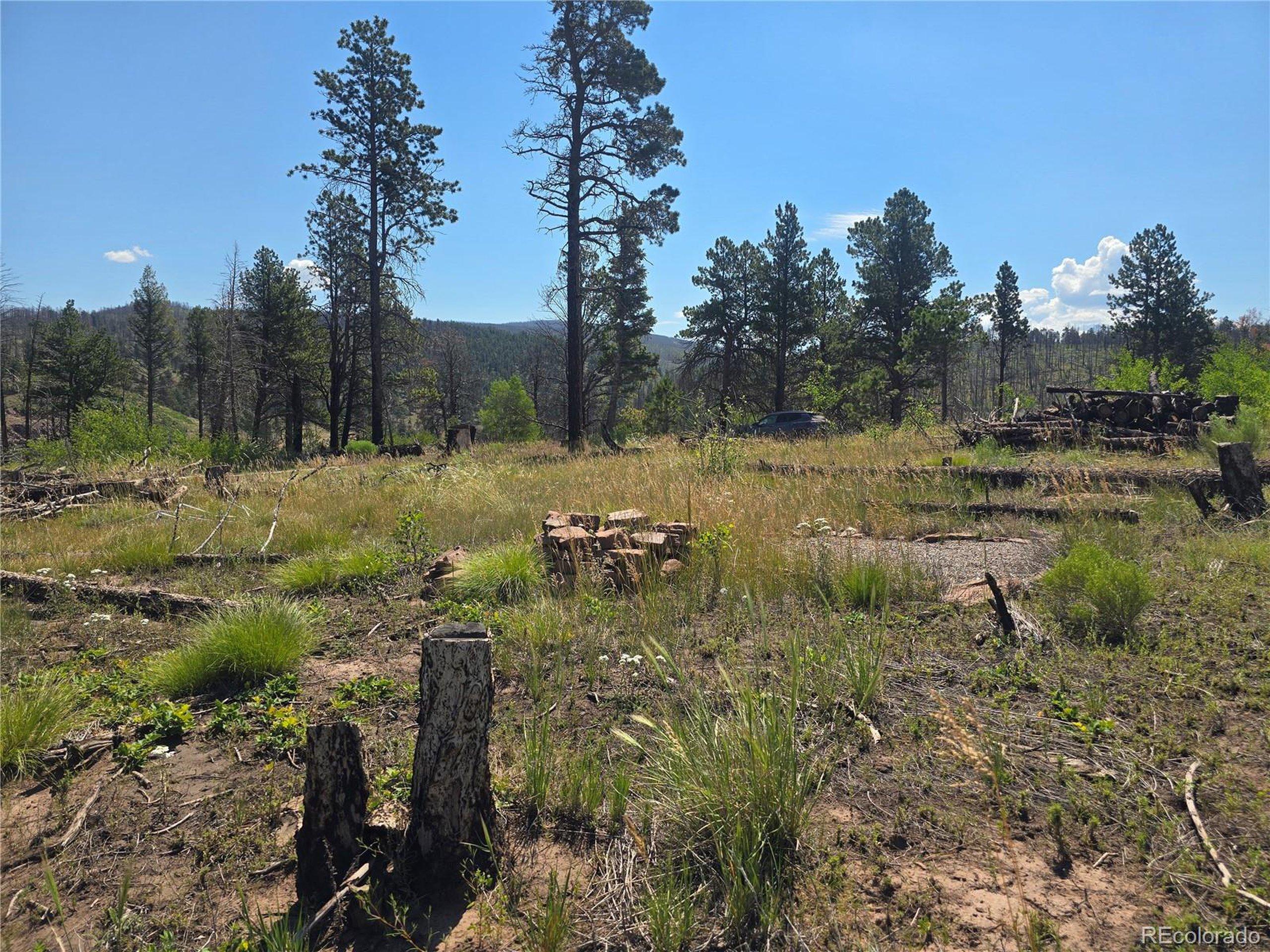 Image 1 Image 1