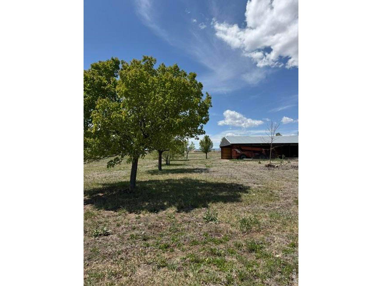 Image 1: Beautiful, mature trees. Large loafing/ storage shed Image 1: Beautiful, mature trees. Large loafing/ storage shed