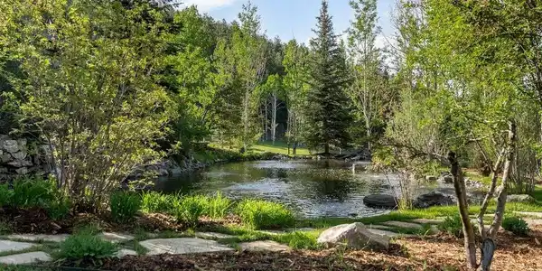 Image 3: pond adjacent to main home with multiple waterfalls & streams