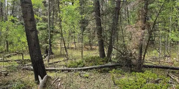 Image 4 Image 4