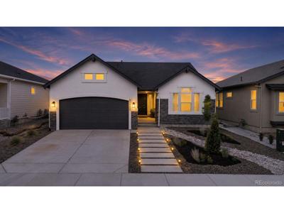 17552 Lucky Penny Ln