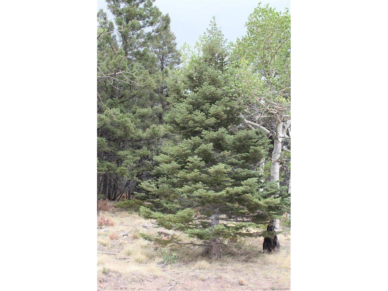 Image 3 Image 3