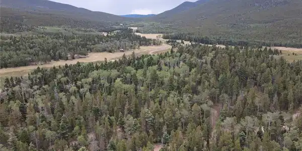 Image 4 Image 4