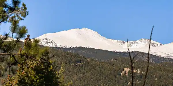 Image 2: View From Lots
