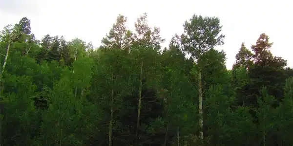 Image 4 Image 4