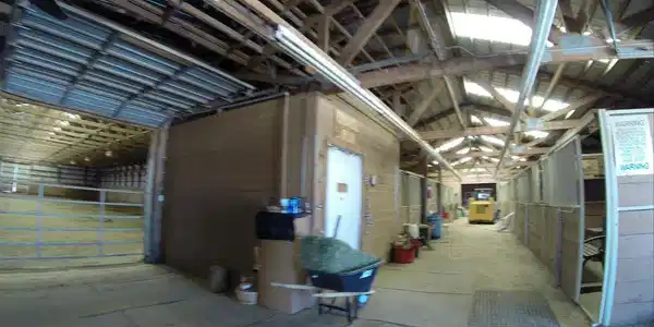 Image 4: Indoor Area Tack Room Image 4: Indoor Area Tack Room