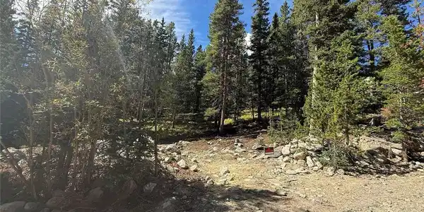 Image 3 Image 3